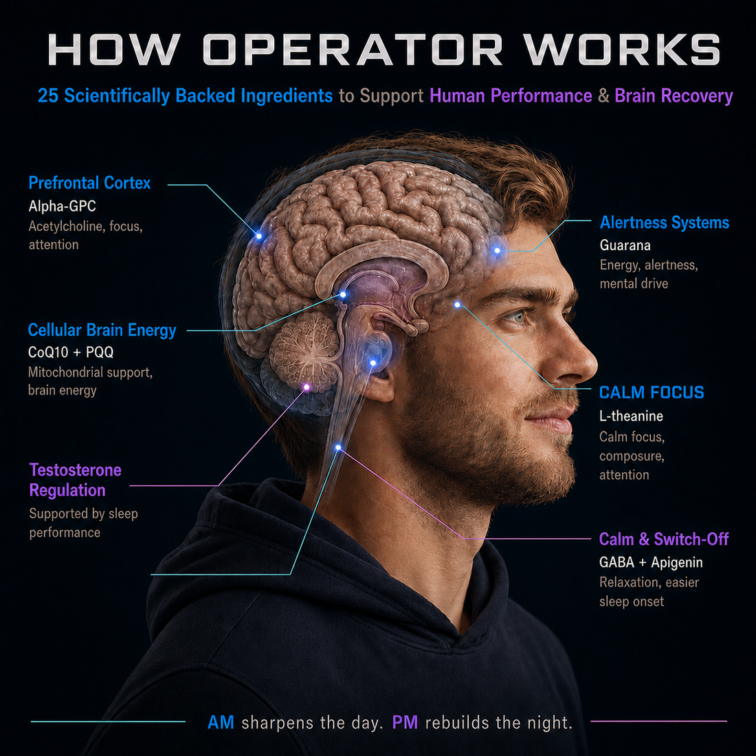 Operator™ AM/PM Protocol